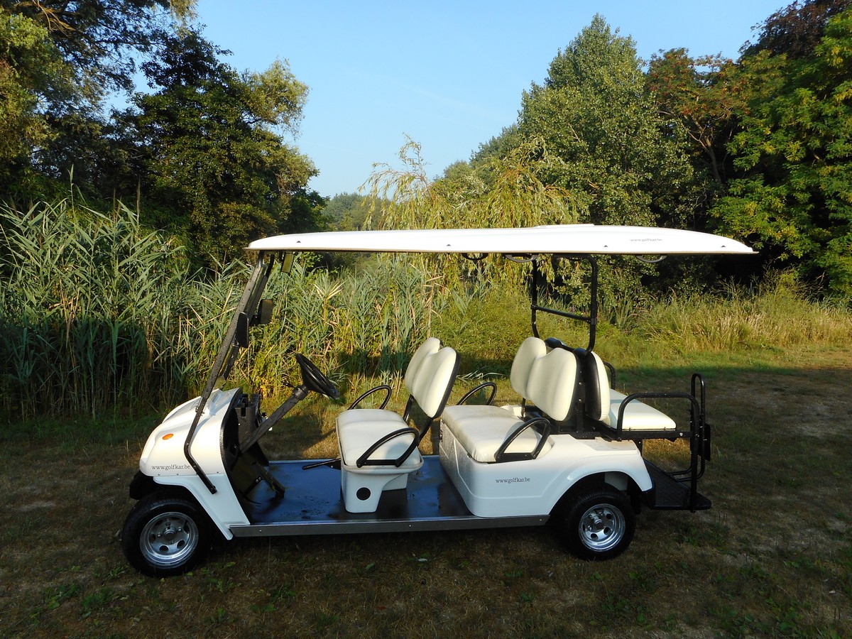 Golfkar voor 6 personen