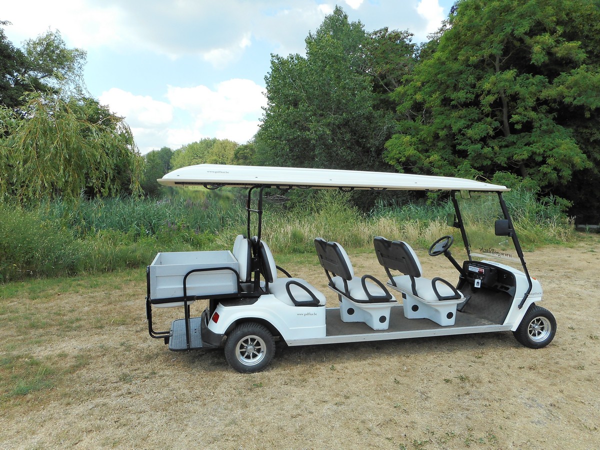 Golfkar voor 8 personen